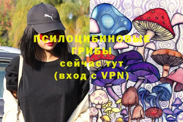 мдпв Балахна