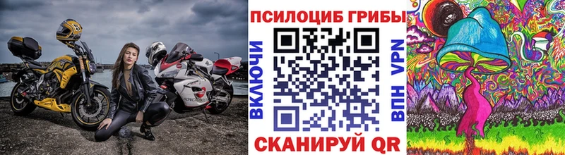 Галлюциногенные грибы Psilocybine cubensis  Бирюсинск 